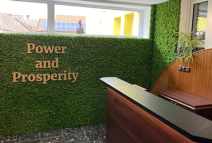 Text z plastu na pozadí z mechu